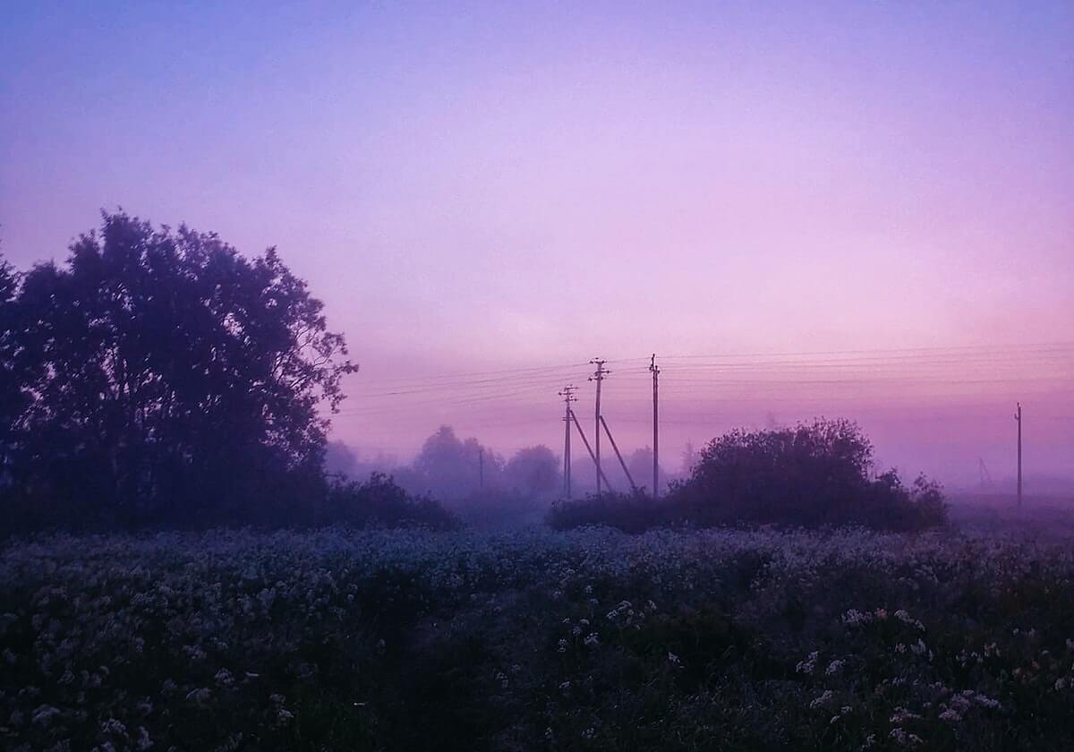 冷门提醒：遇到“黑料wang”这类词，先做这一步：截图≠证据