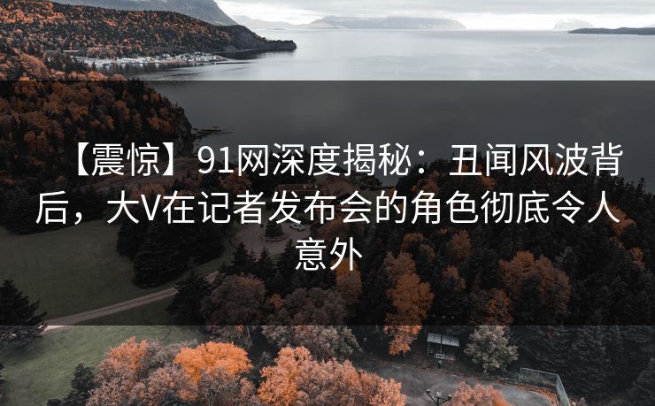 【震惊】91网深度揭秘：丑闻风波背后，大V在记者发布会的角色彻底令人意外