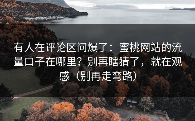 有人在评论区问爆了:蜜桃网站的流量口子在哪里?别再瞎猜了,就在观感(别再走弯路)