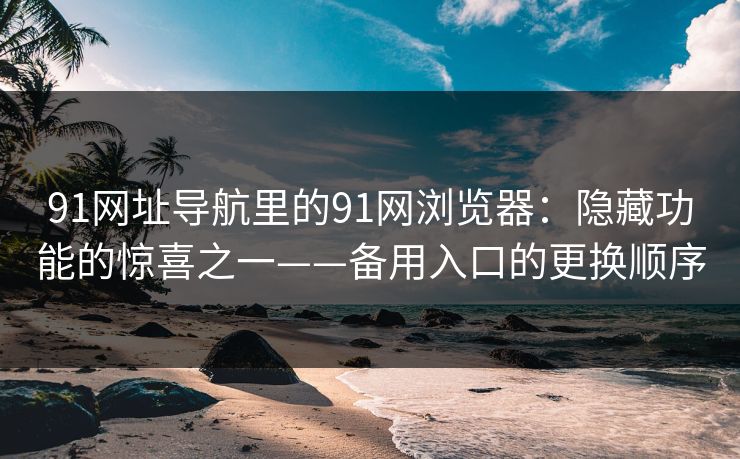 91网址导航里的91网浏览器：隐藏功能的惊喜之一——备用入口的更换顺序